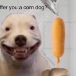 may i offer you a corn dog? | image tagged in may i offer you a corn dog | made w/ Imgflip meme maker