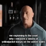 bioterrorism moment | me explaining to the court why i released a swarm of yellowjacket wasps on the united states | image tagged in gifs,the rock | made w/ Imgflip video-to-gif maker