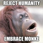 Monkey OOH | REJECT HUMANITY EMBRACE MONKE | image tagged in memes,monkey ooh | made w/ Imgflip meme maker