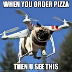 Flying Pug | WHEN YOU ORDER PIZZA THEN U SEE THIS | image tagged in flying pug | made w/ Imgflip meme maker