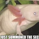demon axolotl | POV: YOU JUST SUMMONED THE SECRET BOSS | image tagged in demon axolotl | made w/ Imgflip meme maker