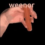weenor template