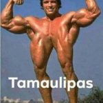 tamaulipas meme