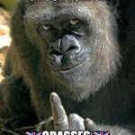 gorilla middle finger | GROUP FULL OF; 🇬🇧GRASSES 🇬🇧 | image tagged in gorilla middle finger | made w/ Imgflip meme maker
