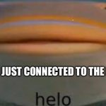 Helo | POV: YOU JUST CONNECTED TO THE FACETIME | image tagged in fish helo | made w/ Imgflip meme maker