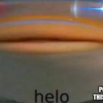 Fish Helo | POV:YOU KILLED THIS FISH' BROTHER | image tagged in fish helo | made w/ Imgflip meme maker