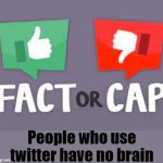 Fact or cap? | People who use twitter have no brain | image tagged in fact or cap | made w/ Imgflip meme maker