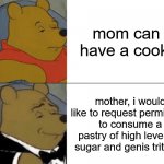 Tuxedo Winnie The Pooh | mom can i have a cookie mother, i would like to request permission to consume a pastry of high levels of sugar and genis triticum | image tagged in memes,tuxedo winnie the pooh | made w/ Imgflip meme maker
