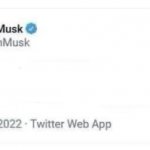 Blank Elon Musk Tweet meme