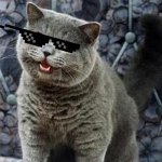 cat | I GOT DA CHEEZBURGER | image tagged in i can has cheezburger cat | made w/ Imgflip meme maker