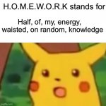 HOMEWORK