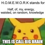 HOMEWORK | THIS IS CALL BIG BRAIN | image tagged in homework | made w/ Imgflip meme maker
