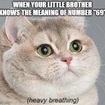;) | WHEN YOUR LITTLE BROTHER KNOWS THE MEANING OF NUMBER "69" | image tagged in memes,heavy breathing cat,69 | made w/ Imgflip meme maker