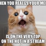 Lol | WHEN YOU REALIZE YOUR MEME; IS ON THE VERY TOP ON THE HOT IN A STREAM | image tagged in amazed cat | made w/ Imgflip meme maker