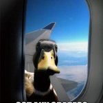 The duck song meme | HEY; GOT ANY GRAPES? | image tagged in duck on plane wing | made w/ Imgflip meme maker