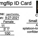 noice | LegendThaInkling 9-27-2021 Female 11 5' 1' 100 A splatoon-loving, very confident user | image tagged in imgflip id card | made w/ Imgflip meme maker