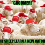 MAGA sheep | "GROOMER!"; WHEN THE SHEEP LEARN A NEW CATCHPHRASE | image tagged in maga sheep,sheep,sheeple,maga,groom | made w/ Imgflip meme maker