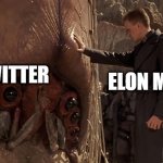 It's Afraid | ELON MUSK; TWITTER | image tagged in it's afraid | made w/ Imgflip meme maker