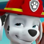 Bad Marshall | image tagged in paw patrol | made w/ Imgflip meme maker