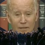 Biden Ministry of Truth