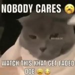 watch this cat get faded GIF Template