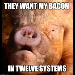 Bounty bacon | THEY WANT MY BACON; IN TWELVE SYSTEMS | image tagged in ugly pig,star wars,bacon | made w/ Imgflip meme maker