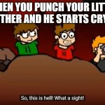 Haha! I'm in danger! | WHEN YOU PUNCH YOUR LITTLE BROTHER AND HE STARTS CRYING | image tagged in so this is hell,eddsworld,hell,mecjenyal | made w/ Imgflip meme maker