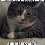 Murrie The Cat | WHEN YOUR NEIGHBOR HAS A LOUD DIESEL TRUCK; AND MAKES METH DELIVERIES 24/7 | image tagged in murrie the cat | made w/ Imgflip meme maker