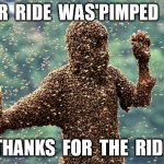 The back seat was a little stingky | YOUR  RIDE  WAS'PIMPED  BRO; THANKS  FOR  THE  RIDE | image tagged in wasps | made w/ Imgflip meme maker