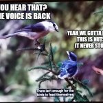 There isn't enough for the birds | YOU HEAR THAT? THE VOICE IS BACK; YEAH WE GOTTA MOVE. 
THIS IS NUTS. 
IT NEVER STOPS | image tagged in there isn't enough for the birds | made w/ Imgflip meme maker