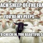 Black Sheep of The Family | BLACK SHEEP OF THE FAMILY; YOU'RE MY PEEPS . . . MEMEs by Dan Campbell; TIME TO CHECK IN, YOU BEAUTIFUL SOULS | image tagged in black sheep of the family | made w/ Imgflip meme maker