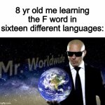 literally everyone at some point | 8 yr old me learning the F word in sixteen different languages: | image tagged in mr worldwide,spanish | made w/ Imgflip meme maker