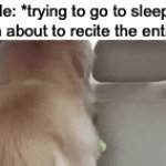 The most relatable thing since idk | Me: *trying to go to sleep*
My brain about to recite the entire bible: | image tagged in gifs,relatable,doggo,funny,memes,idk what to put here | made w/ Imgflip video-to-gif maker