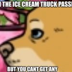 When the ice cream truck passes by but you cant get any | WHEN THE ICE CREAM TRUCK PASSES BY; BUT YOU CANT GET ANY | image tagged in depressed looking cartoon dog | made w/ Imgflip meme maker