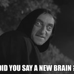 Igor | DID YOU SAY A NEW BRAIN ? | image tagged in igor | made w/ Imgflip meme maker