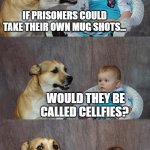 Selfies | IF PRISONERS COULD TAKE THEIR OWN MUG SHOTS… WOULD THEY BE CALLED CELLFIES? | image tagged in memes,dad joke dog | made w/ Imgflip meme maker