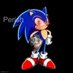 You're Too Slow Sonic Meme | Perish | image tagged in memes,you're too slow sonic | made w/ Imgflip meme maker