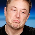 Elon Musk, Chinese puppet who wants Twitter meme