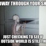 Skeleton Looking Out Window Meme Generator - Imgflip