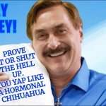Yap. Yap. Yap. | HEY
MIKEY! PROVE IT OR SHUT THE HELL UP.  YOU YAP LIKE A HORMONAL
CHIHUAHUA | image tagged in my pillow guy,ass,asshole,embarrassment,loser,memes | made w/ Imgflip meme maker