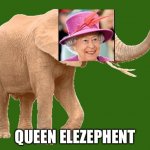 The queen of animal kingdom | QUEEN ELEZEPHENT | image tagged in elephantitis of the existence | made w/ Imgflip meme maker