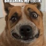 Every viewer that practices proper dental hygiene MUST relate | ME AFTER DRINKING WATER AFTER BRUSHING ME TEETH: | image tagged in dog cringe,gross,oh no,toothpaste | made w/ Imgflip meme maker