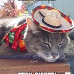 Cinco De Mayo Cat | FIRST, FIESTA; THEN, SIESTA! | image tagged in cinco de mayo cat | made w/ Imgflip meme maker