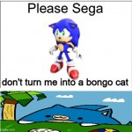 Please Sega | don't turn me into a bongo cat | image tagged in please sega | made w/ Imgflip meme maker