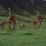 Gallimimus Stampede