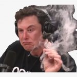 Elon transparent template