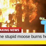 Some stupid moose burns hotel