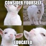 Smug Goat | CONSIDER YOURSELF; EDUCATED | image tagged in smug goat | made w/ Imgflip meme maker