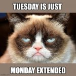 Nope | TUESDAY IS JUST MONDAY EXTENDED | image tagged in memes,grumpy cat not amused,grumpy cat,tuesday | made w/ Imgflip meme maker