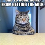 please come back | ME WAITING FOR DAD TO COME HOME FROM GETTING THE MILK WHY | image tagged in memes,take a seat cat | made w/ Imgflip meme maker